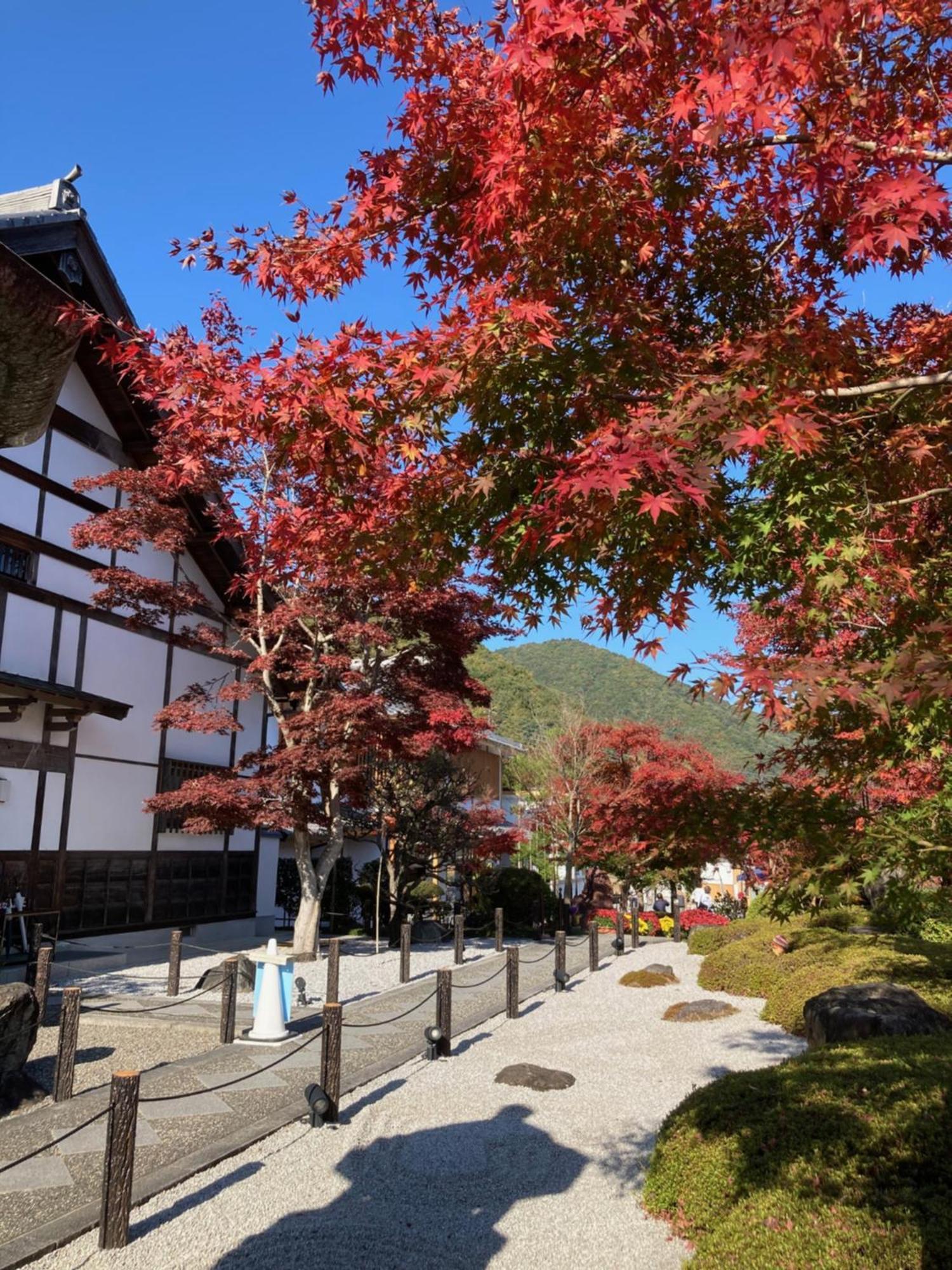Sky Tree Inn Ⅱ（晴樹宿ⅱ） Tokyo Luaran gambar