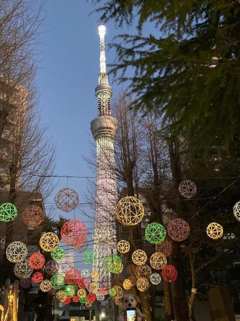 Sky Tree Inn Ⅱ（晴樹宿ⅱ） Tokyo Luaran gambar