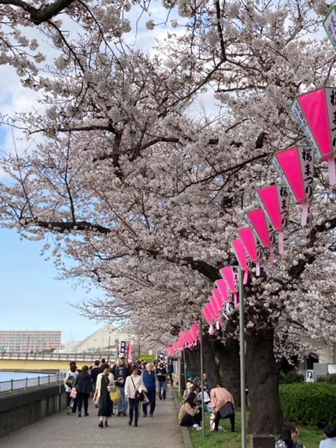 Sky Tree Inn Ⅱ（晴樹宿ⅱ） Tokyo Luaran gambar
